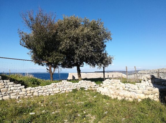 Mali Lošinj as a centre of EUSAIR discussion on Sustainable Tourism