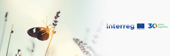 Interreg is turning 30!