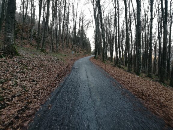 Non-Paper on Macro Regional Strategies