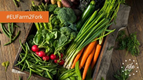 Why buying local and sustainable food makes sense?