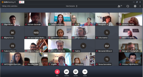 11th Meeting of the Thematic Steering Group for  Pillar 1 – Blue Growth