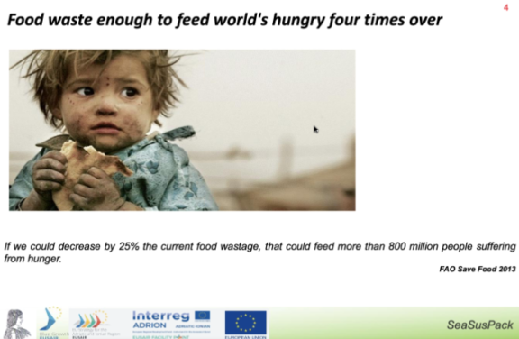 12th TSG1 meeting in the light of new (Blue Growth) project ideas