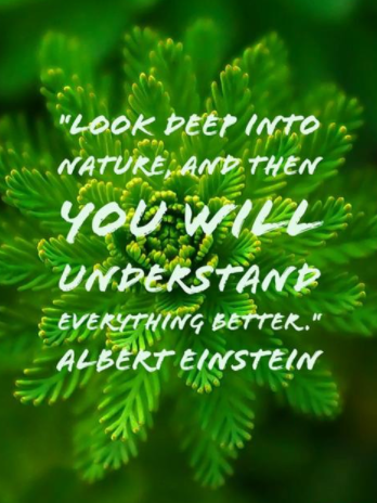 13th Meeting of the Thematic Steering Group for Pillar 3 – Environmental Quality