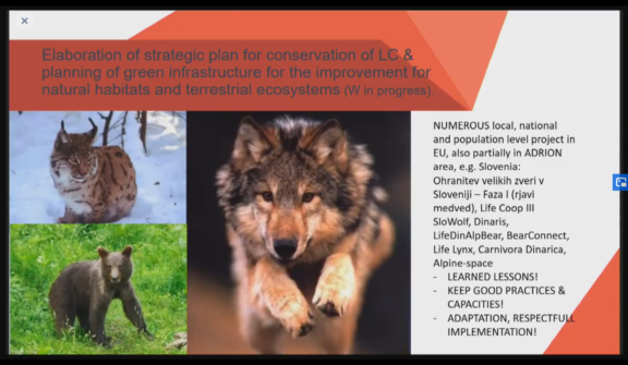 Thematic Session: Environmental Quality (Pillar 3) – Importance of blue and green infrastructure in a light of the new EU post-2020 biodiversity framework: How to enhance the delivery of essential ecosystem services throughout the Adriatic-Ionian Region?