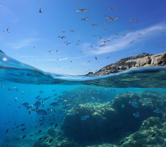 Environmental Quality Pillar notes: Adriatic-Ionian region with the lowest share of marine protected areas among all regional seas in the Mediterranean region
