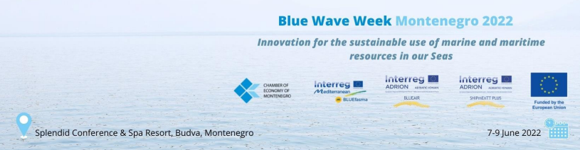 Blue Wave Week ME 2022