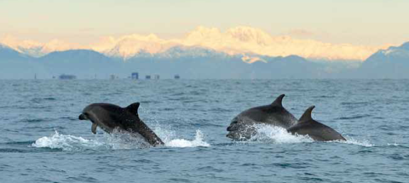 An opportunity to CONNECT