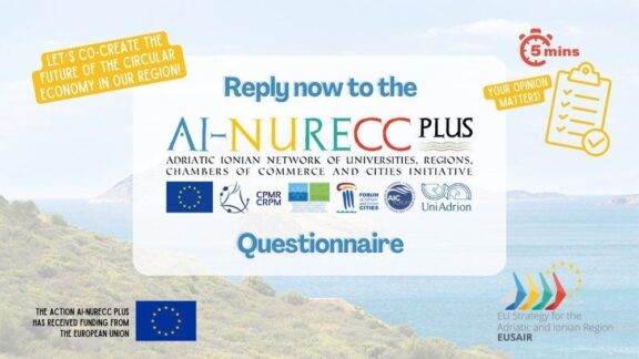 AI-NURECC PLUS Initiative Questionnaire