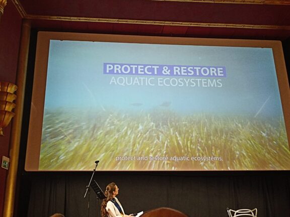 Towards the future of blue growth in the Adriatic and Ionian Basin