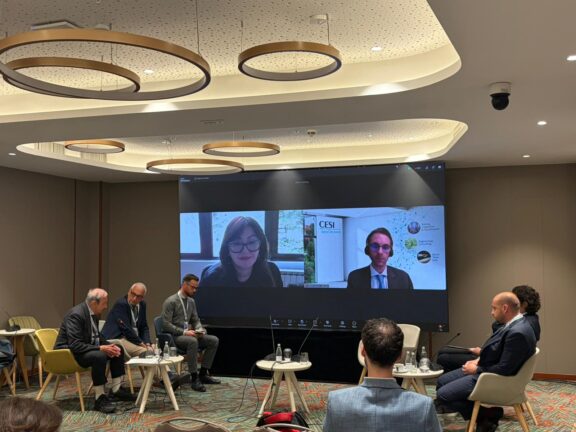 Energy Security through the Adriatic and Ionian Region while Confronting Emerging Threats and Future Risks