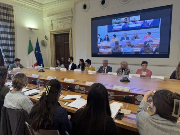 young people take centre stage in Rome: ideas and priorities for the future of the Strategy