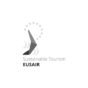 eusair_pillar_4_logo_greyscale.png